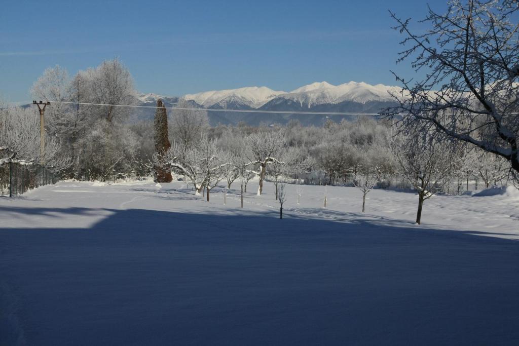 Skipension Jasna Paucsinalehota Kültér fotó